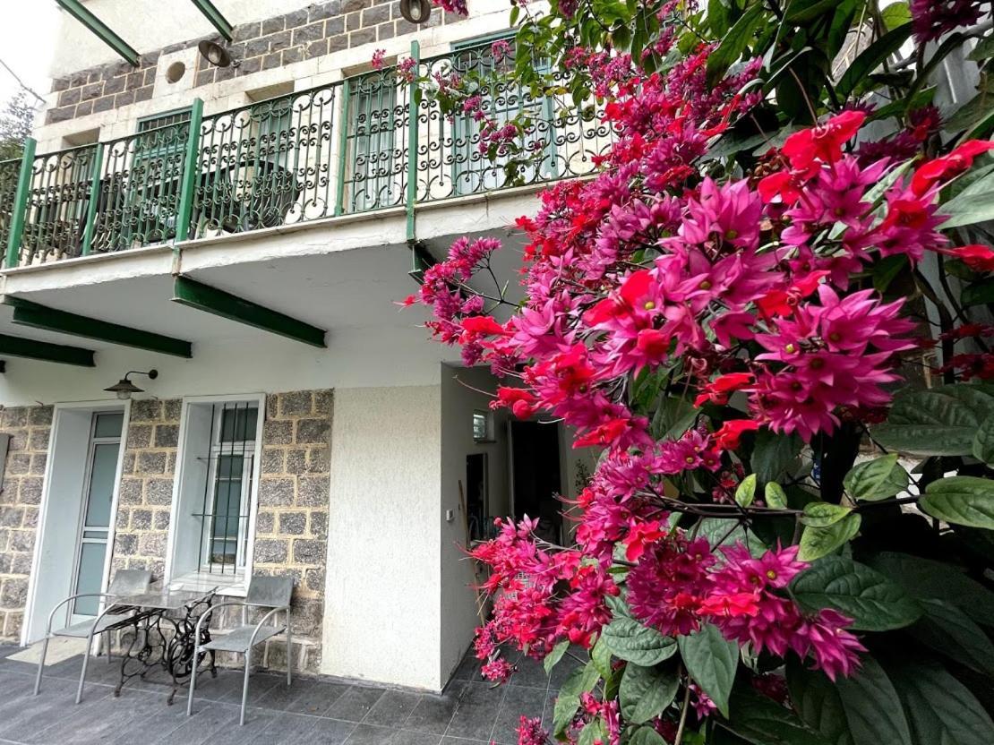 Berenice Winery Hotel Tiberias Kültér fotó