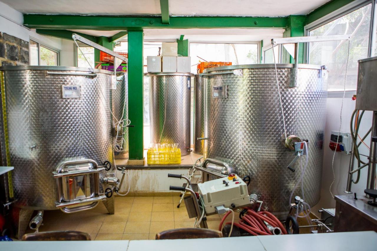 Berenice Winery Hotel Tiberias Kültér fotó